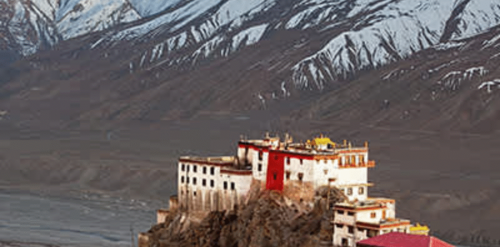 Brown and Pink Modern Seasonal Cosmetics Sale Instagram Post (2)